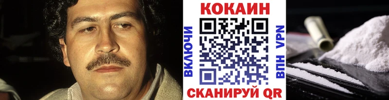 Cocaine FishScale Купить где Вилюйск