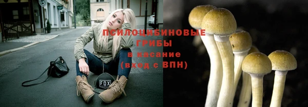 a pvp Армянск
