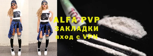 стафф Арсеньев
