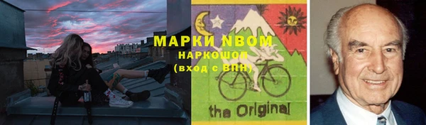 стафф Арсеньев