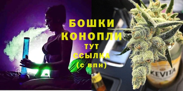 стафф Арсеньев